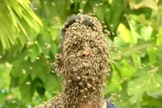 Ne, mladík nespadl do bláta. Na obličej si nechal posedat 60 tisíc včel! 