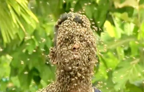 Zvláštní koníček indického mladíka: Obličej mu zdobí 60 tisíc včel!