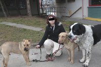 Tyranka psa se léčila v Bohnicích: Na vycházce si koupila štěně