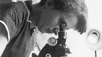 Jak Watson, Crick a sexismus vyhráli závod o objev struktury DNA