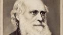 Charles Darwin Charles Darwin