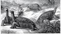 Návštěva Galapág se tak stala významným podnětem pro vznik Darwinovy evoluční teorie Návštěva Galapág se tak stala významným podnětem pro vznik Darwinovy evoluční teorie