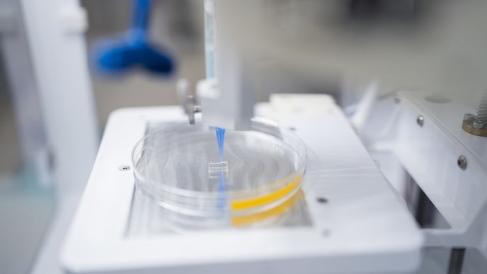 VUT Brno, fakulta elektrotechniky a komunikačních technologií vyvíjí pomocí 3D bioprintu umělé tkáně nebo části orgánů.
