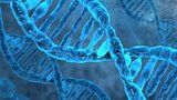 Vědci vyvinuli test určující biologický věk