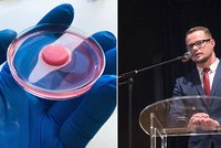 Velký objev českých vědců: Umělý brzlík pomůže pacientům s AIDS i leukémií