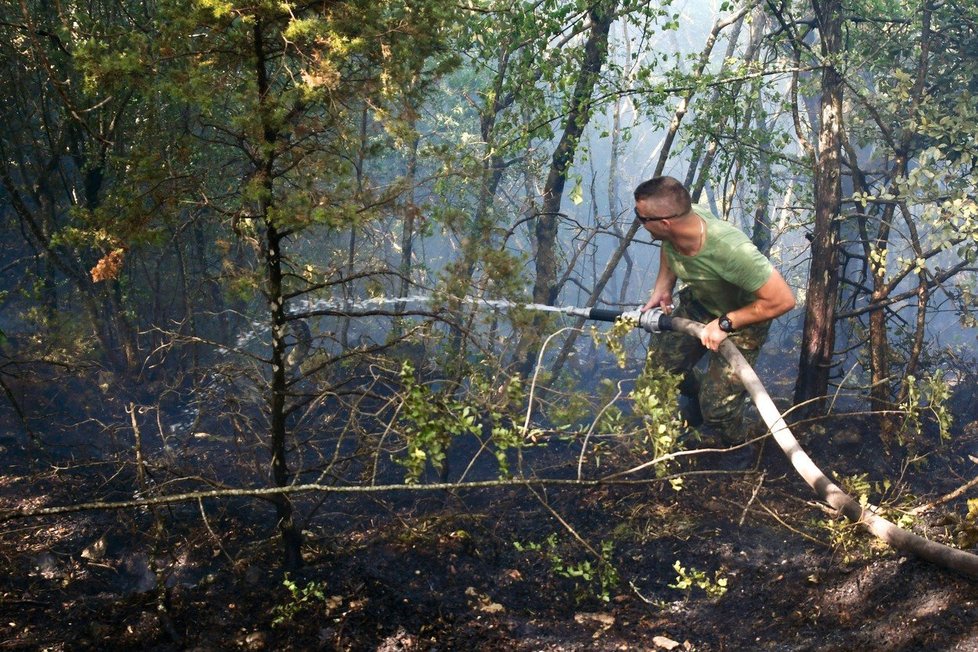 Albánii kvůli vysokým teplotám zasáhla řada požárů.