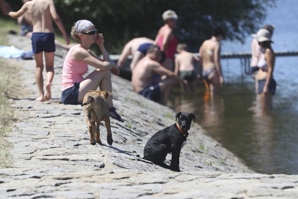 Česko zasáhlo tropické vedro, teploty se šplhaly až k 38 °C (30. 6. 2019)