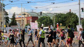 Veggie Parade přilákalo stovky lidí z celého Česka.