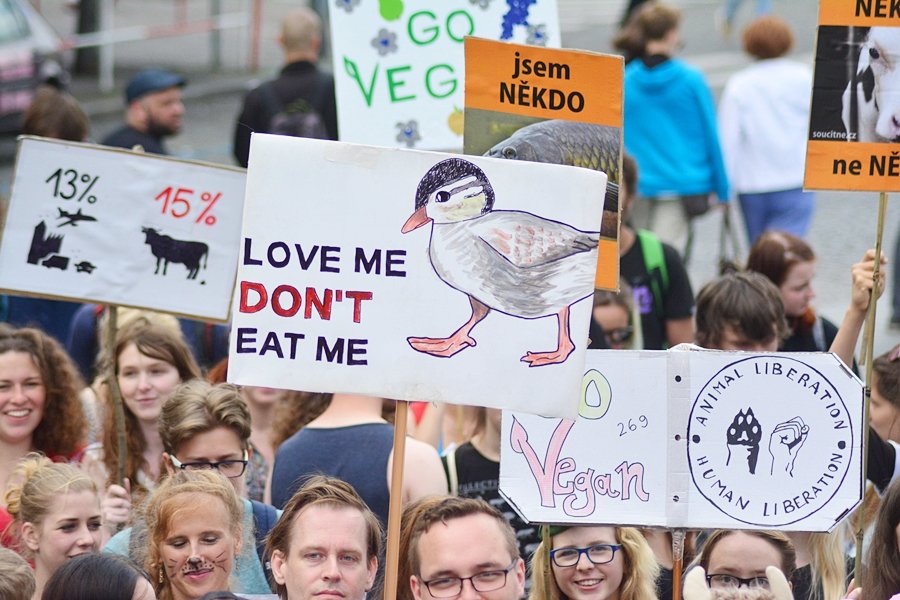 Veganský průvod Veggie Parade 2017 odstartoval po druhé hodině odpolední na Václavském náměstí.