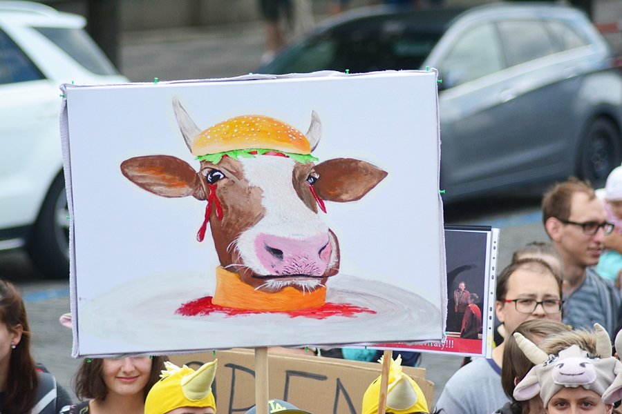 Veganský průvod Veggie Parade 2017 odstartoval po druhé hodině odpolední na Václavském náměstí.