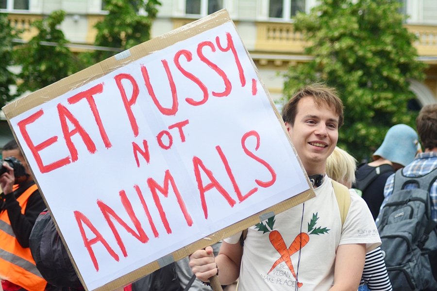 Veganský průvod Veggie Parade 2017 odstartoval po druhé hodině odpolední na Václavském náměstí.