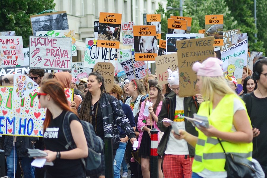 Veganský průvod Veggie Parade 2017 odstartoval po druhé hodině odpolední na Václavském náměstí.