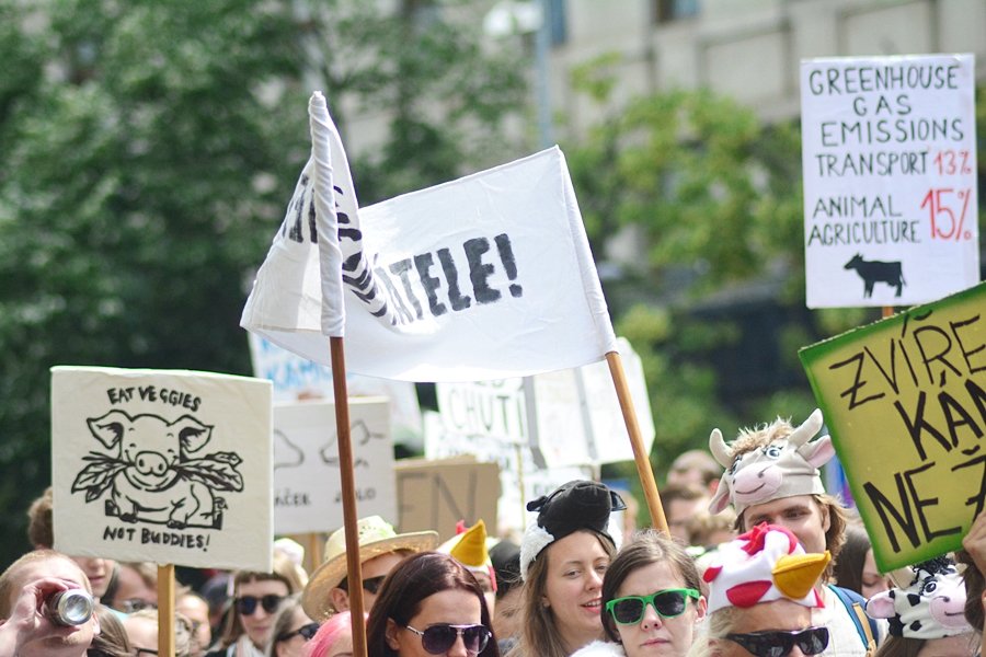 Veganský průvod Veggie Parade 2017 odstartoval po druhé hodině odpolední na Václavském náměstí.