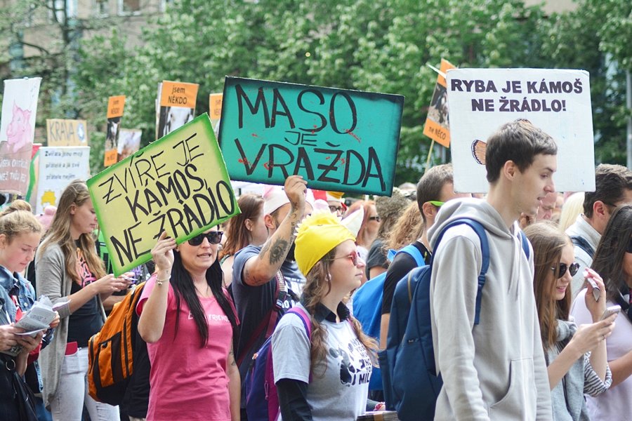 Veganský průvod Veggie Parade 2017 odstartoval po druhé hodině odpolední na Václavském náměstí.