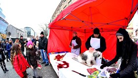 Vyděšení Pražané volali na pomoc policii: Na Andělu zabíjejí psy, stěžovali si, co se tu dělo?