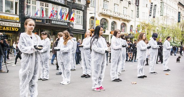Aktivisté stáli na Václaváku hodinu