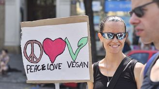 Veganský horor: 19měsíční dítě nemělo zuby a vážilo 5 kilo. Rodiče byli v Austrálii za podvyživení dcery odsouzeni