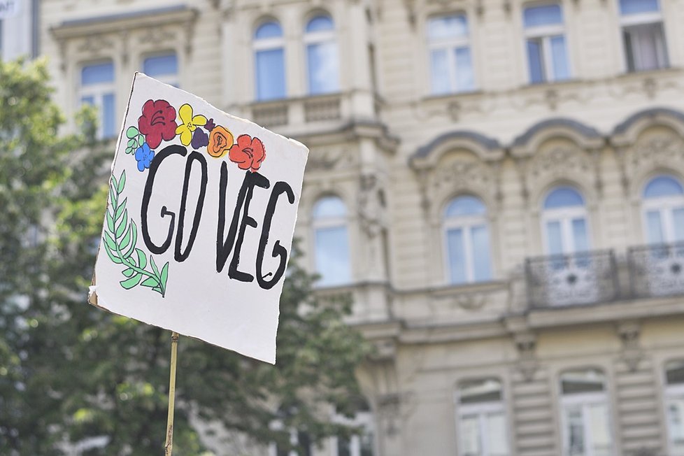 Stovky veganů z celého Česka se sešly na Václaváku. Demonstrativním průvodem bojovali za práva všech zvířat.