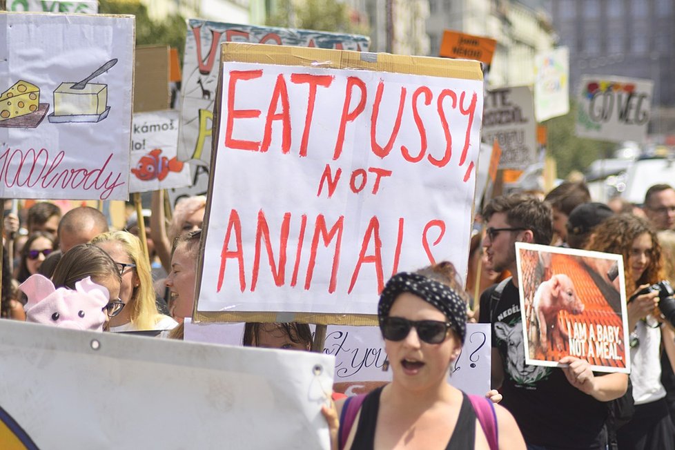 Stovky veganů z celého Česka se sešly na Václaváku. Demonstrativním průvodem bojovali za práva všech zvířat.