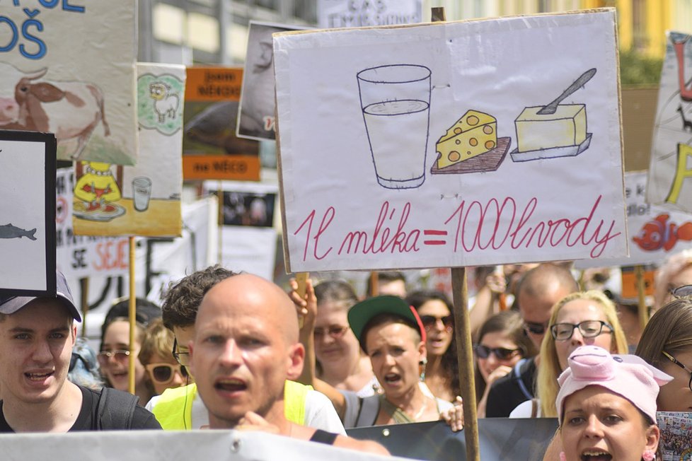 Stovky veganů z celého Česka se sešly na Václaváku. Demonstrativním průvodem bojovali za práva všech zvířat.