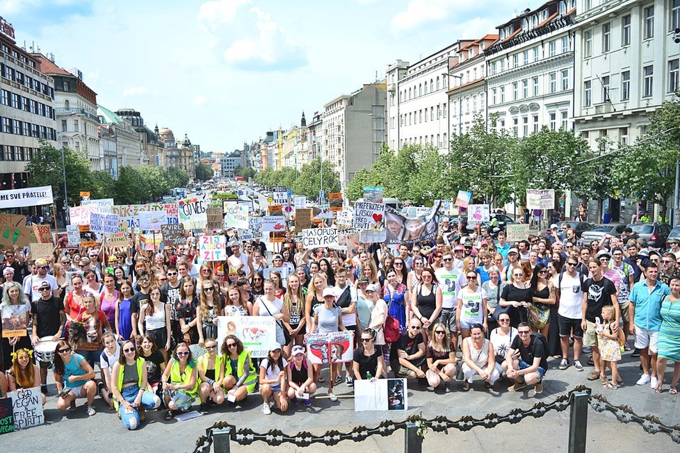 Stovky veganů z celého Česka se sešly na Václaváku. Demonstrativním průvodem bojovali za práva všech zvířat.