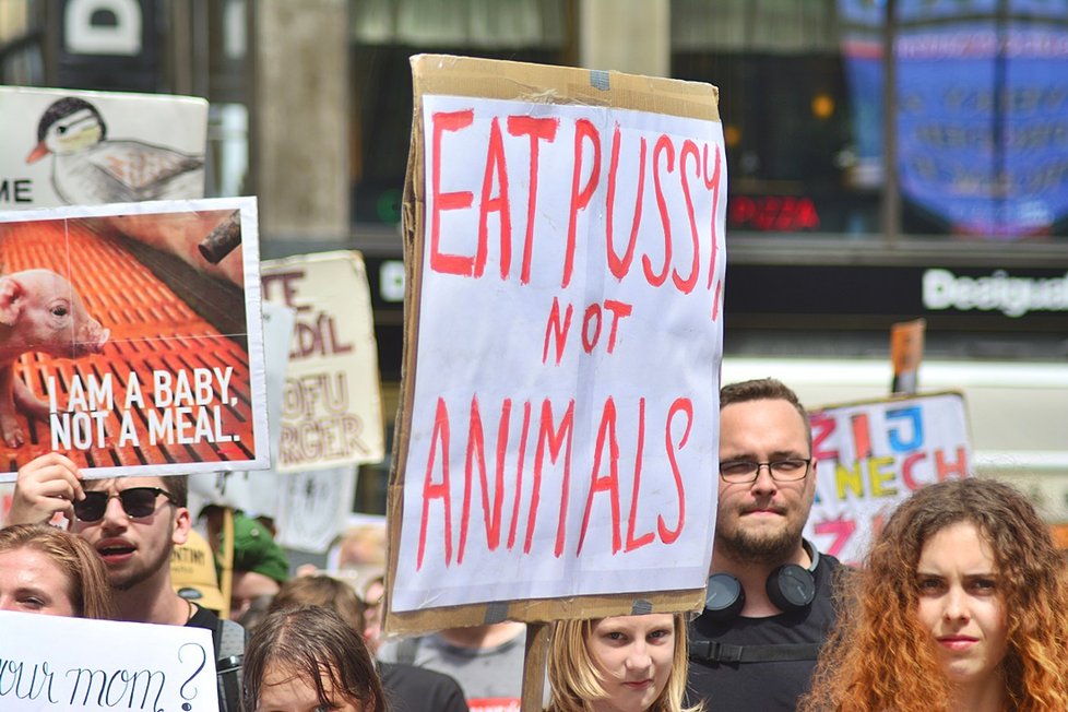 Stovky veganů z celého Česka se sešly na Václaváku. Demonstrativním průvodem bojovali za práva všech zvířat.