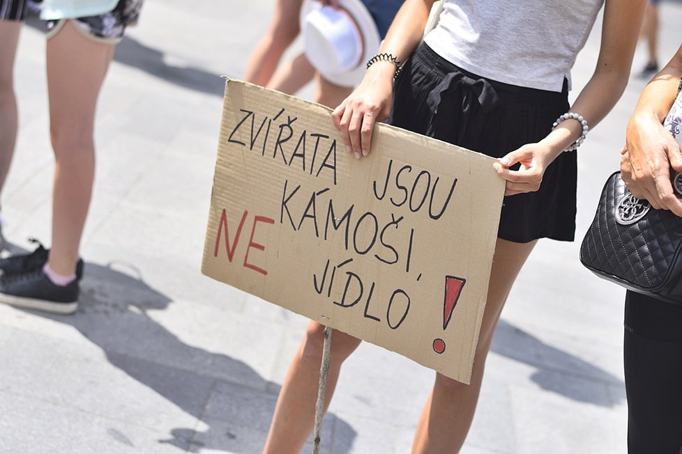 Stovky veganů z celého Česka se sešly na Václaváku. Demonstrativním průvodem bojovali za práva všech zvířat.