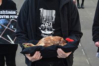 Mrtvá slepice v náručí: Vegani před Velikonocemi upozorňují na utrpení zvířat