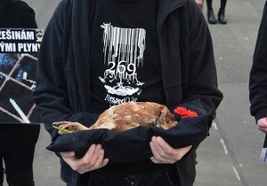 V neděli odpoledne na sebe strli pozornost vegani na Václavském náměstí. Pietní akce za zvířata doprovázela živá hudba.