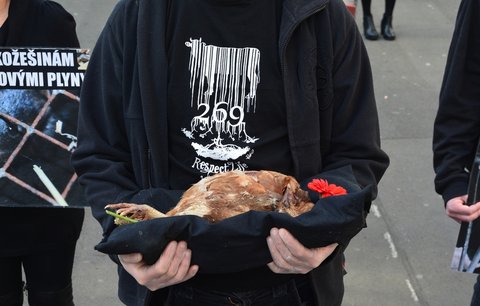 Mrtvá slepice v náručí: Vegani před Velikonocemi upozorňují na utrpení zvířat