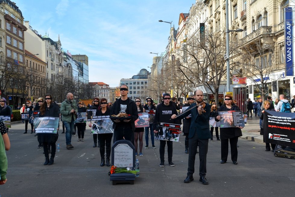 V neděli odpoledne na sebe strli pozornost vegani na Václavském náměstí. Pietní akce za zvířata doprovázela živá hudba.