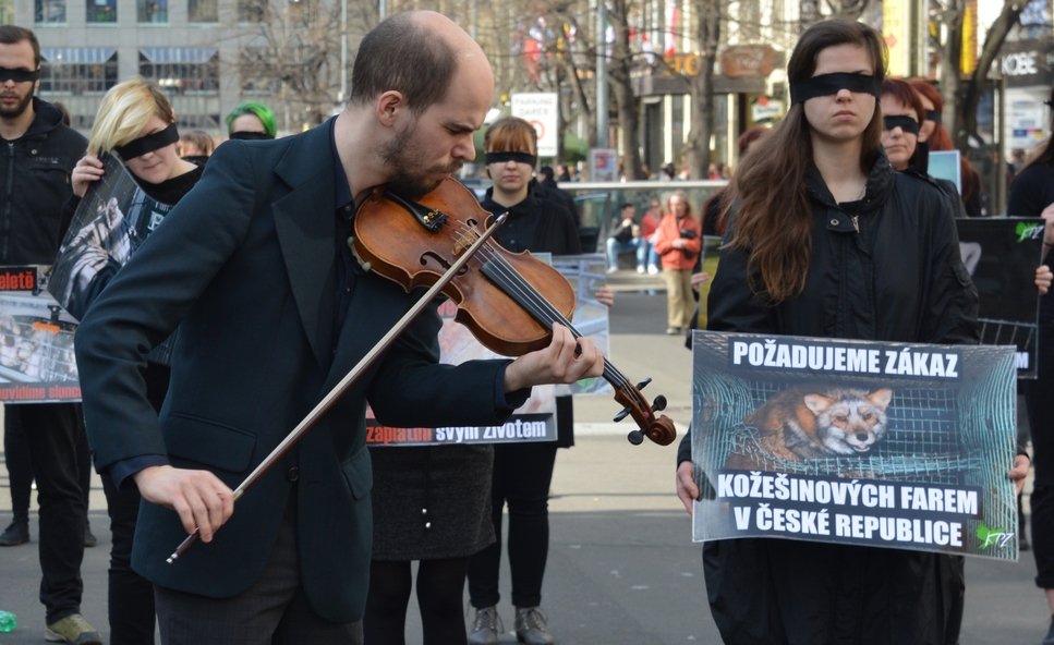 V neděli odpoledne na sebe strli pozornost vegani na Václavském náměstí. Pietní akce za zvířata doprovázela živá hudba.