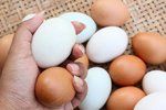 Rozdíl mezi bílými a hnědými vajíčky není nijak zásadní. Větší rozdíly jsou mezi jednotlivými chovy.