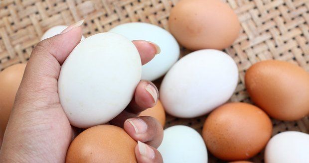 Rozdíl mezi bílými a hnědými vajíčky není nijak zásadní. Větší rozdíly jsou mezi jednotlivými chovy.