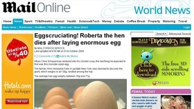 Obří vejce překvapilo farmáře