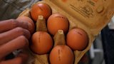 Česko vrátilo do Polska dva miliony vajec