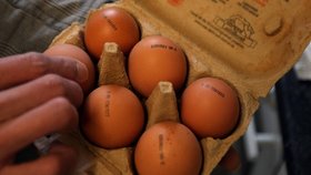 Dva miliony vajec putují zpátky do Polska