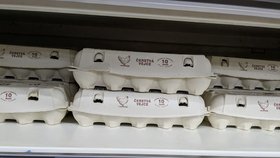 Cena vajec v akcích klesla o třetinu. Výrazně zdražily brambory: Češi si připlatí dvakrát víc
