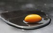 15:03 - První reakce – žádná. Zíráme na nereagující vajíčko v naději, že zbělá. Ale ani v místě, kde je bílek tenký sotva dva milimetry, se nic neděje. 