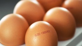 Kód na vejci
