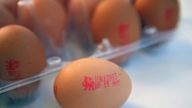 Země dotčené vajíčkovou aférou by se podle eurokomisaře Vytenise Andriukaitise měly přestat obviňovat.