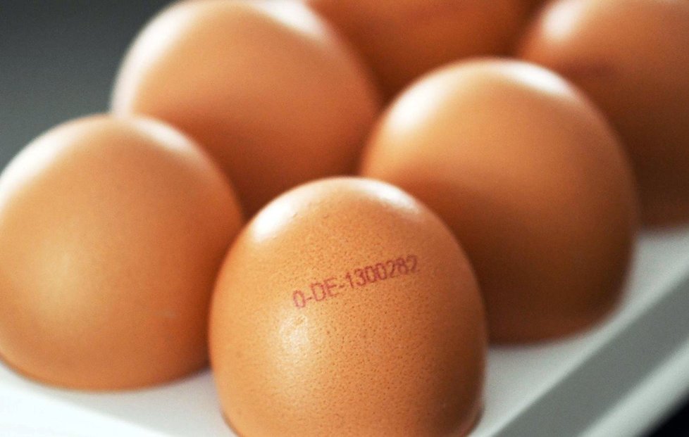 Fipronil je látka, která bývá součástí přípravků proti blechám, vším a klíšťatům. Nesmí se však podávat zvířatům, jejichž maso konzumují lidé.