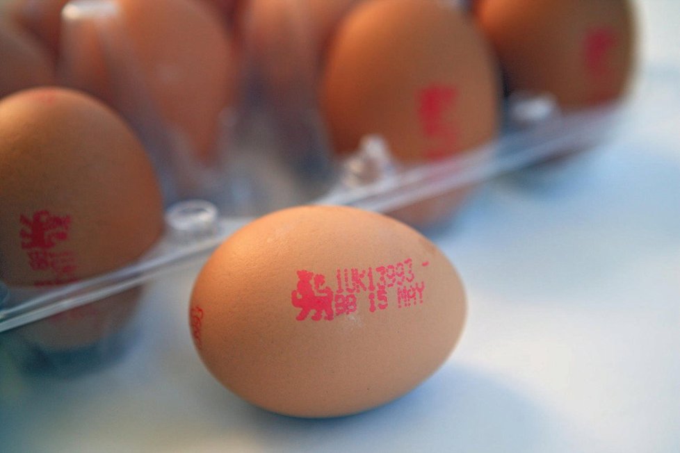 Fipronil je látka, která bývá součástí přípravků proti blechám, vším a klíšťatům. Nesmí se však podávat zvířatům, jejichž maso konzumují lidé.