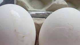 Inspekce varuje před vejci z Lidlu