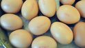 Jaká vejce obsahují více dioxinů? Z velkochovů nebo z ekofarem?