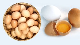 Vajíčko je nenahraditelné a je v něm obsaženo všechno dobré. Ostatně jsou v něm přece živiny pro růst nového života.