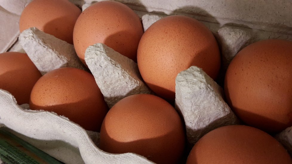 Ministerstvo zemědělství představilo rozdíly mezi tuzemskými a zahraničními vejci. Lobbuje za českou produkci.