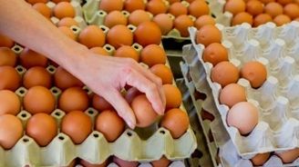 Velký vaječný pád. Amerika stlačila cenu na korunu za kus, Evropa včetně Česka tiše závidí Velký vaječný pád. Amerika stlačila cenu na korunu za kus, Evropa včetně Česka tiše závidí