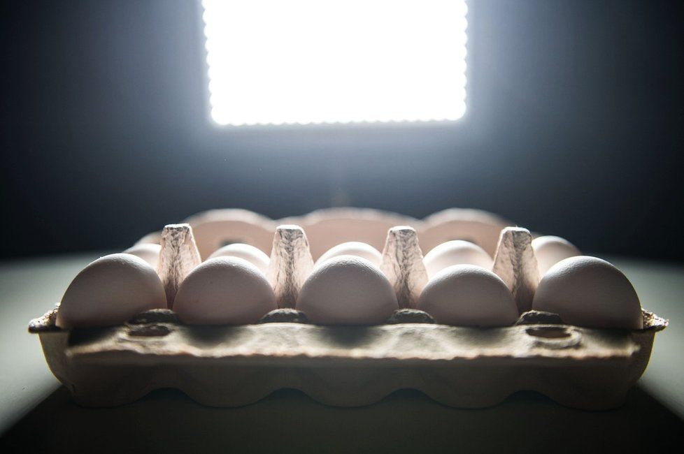 Německo řeší problém s nebezpečnými vejci.
