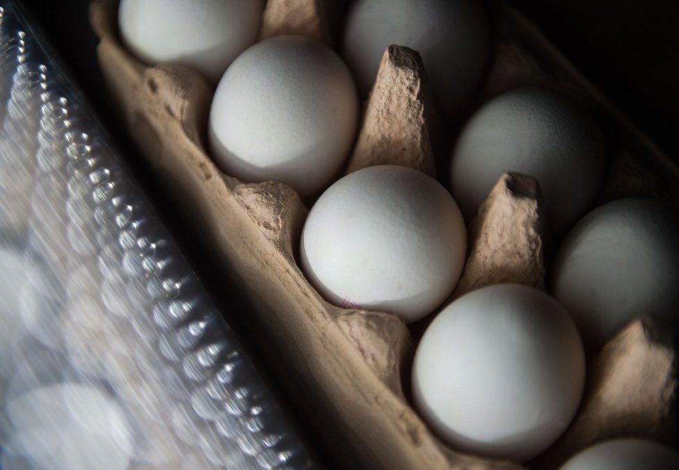 Fipronil je látka, která bývá součástí přípravků proti blechám, vším a klíšťatům. Nesmí se však podávat zvířatům, jejichž maso konzumují lidé.